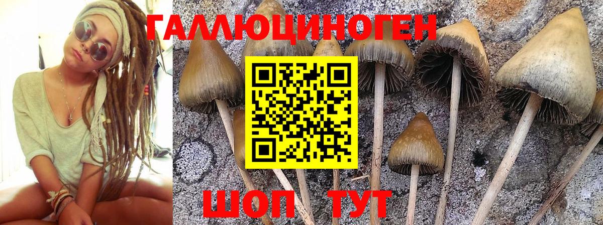 Джанкой  как найти наркотики  Галлюциногенные грибы Psilocybe  Вход с VPN  Псилоцибиновые грибы прущие грибы 
